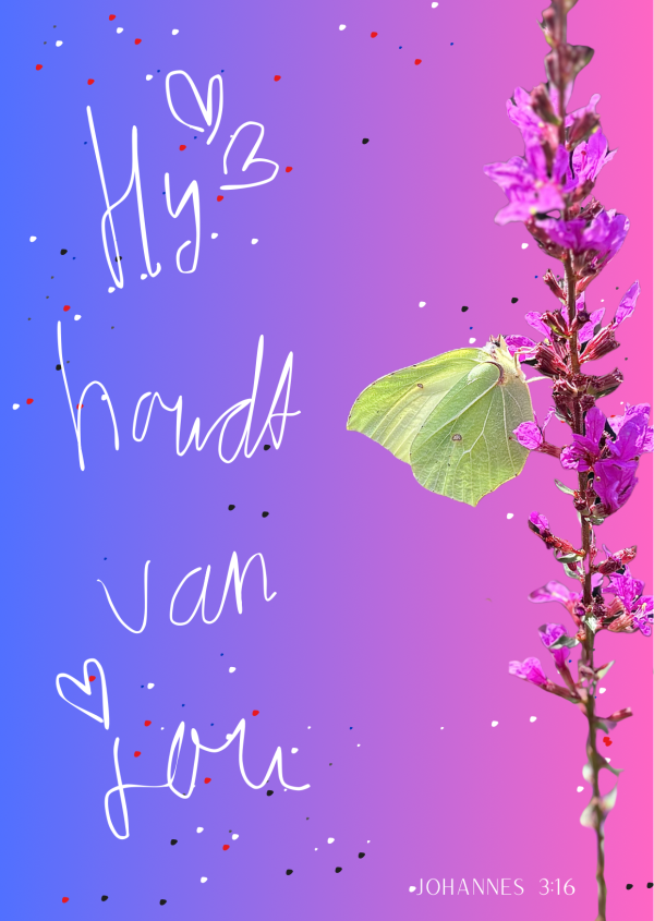 Stoppen met Roken – Hoe dan?