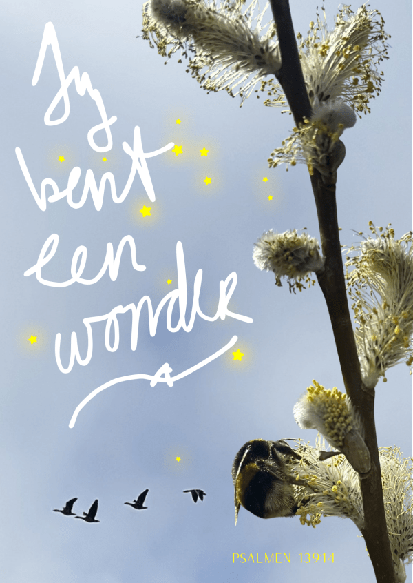 Blijf altijd Dromen – Geef Niet&nbsp;Op!