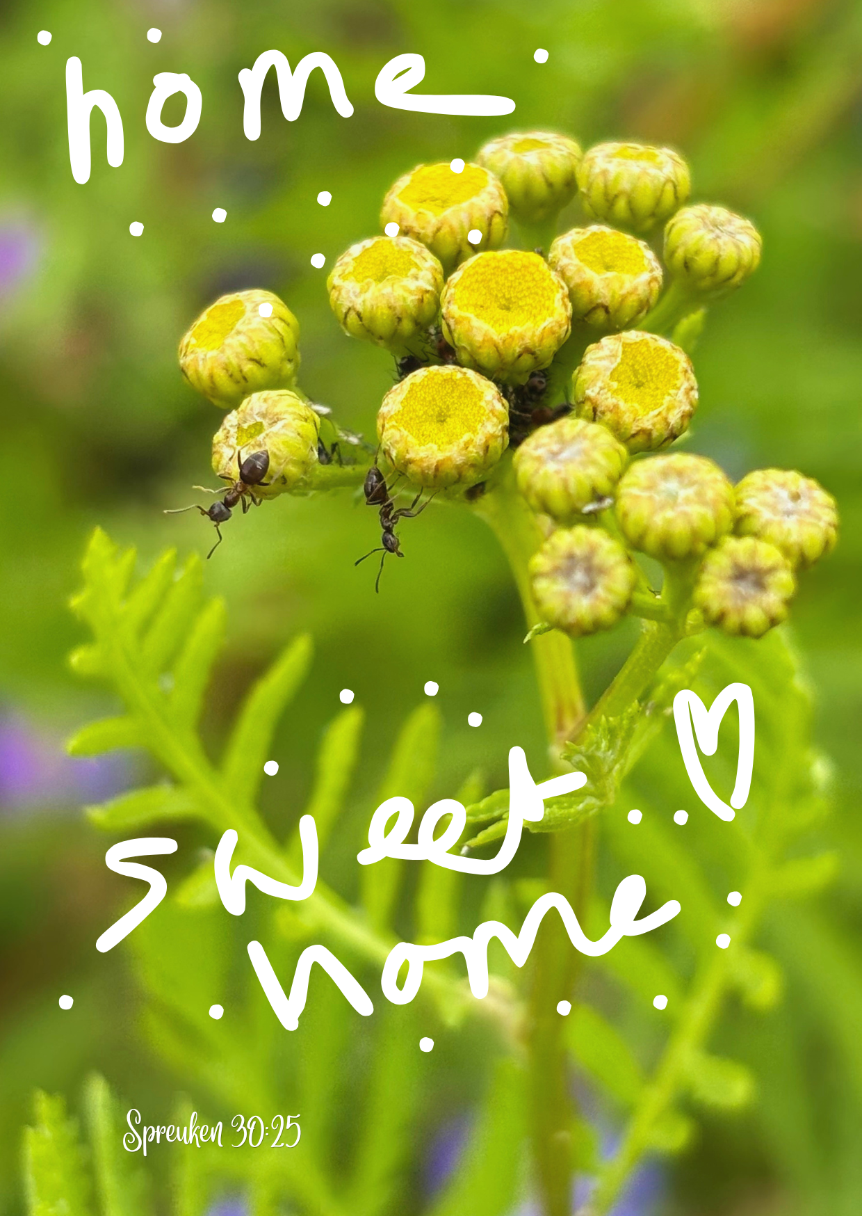 Slow Living zonder Luiheid