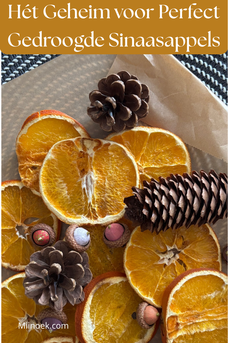 Sinaasappels Drogen voor Herfst Decoratie in Huis