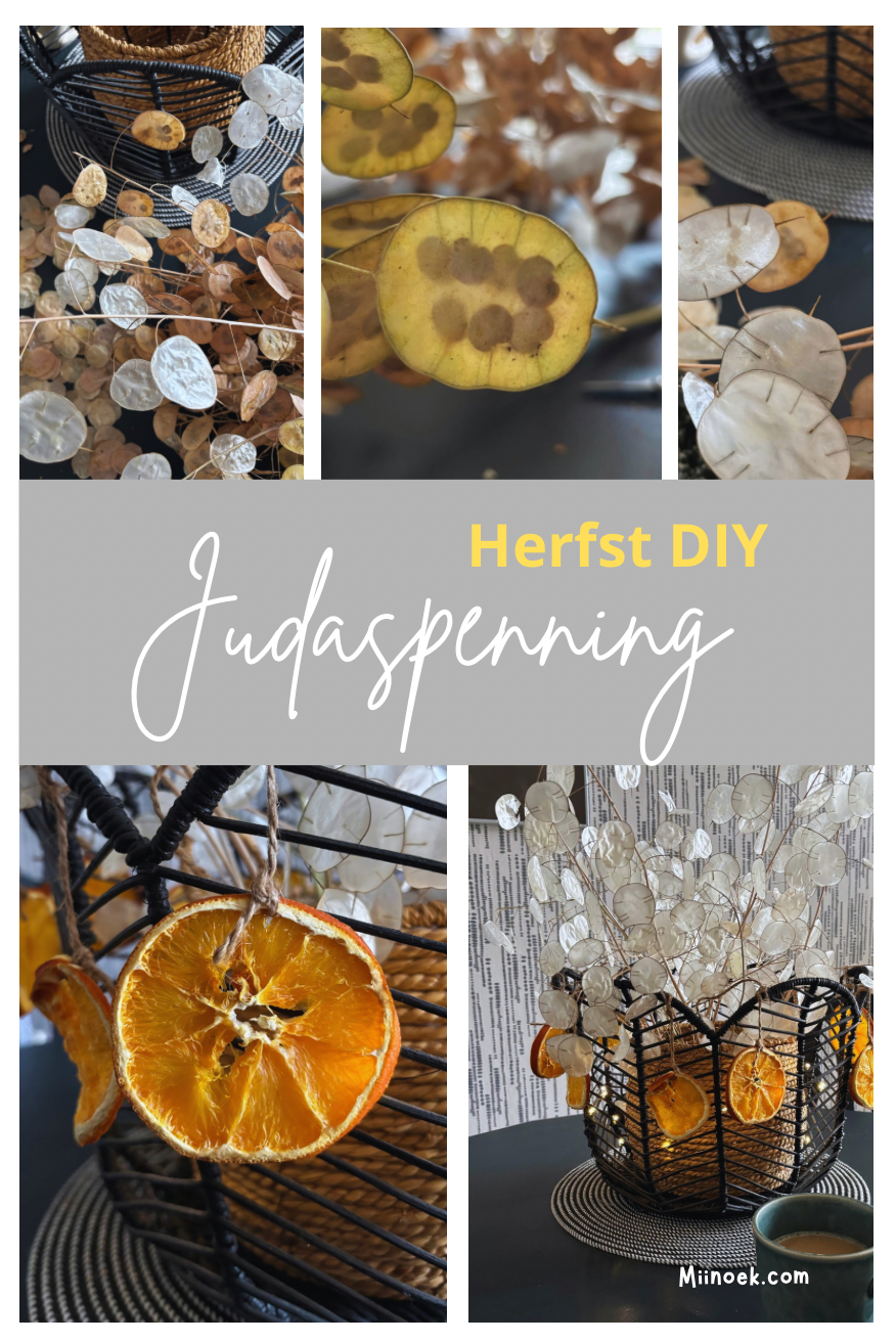 Judaspenning Pellen en Stylen in een Mand | Herfst DIY
