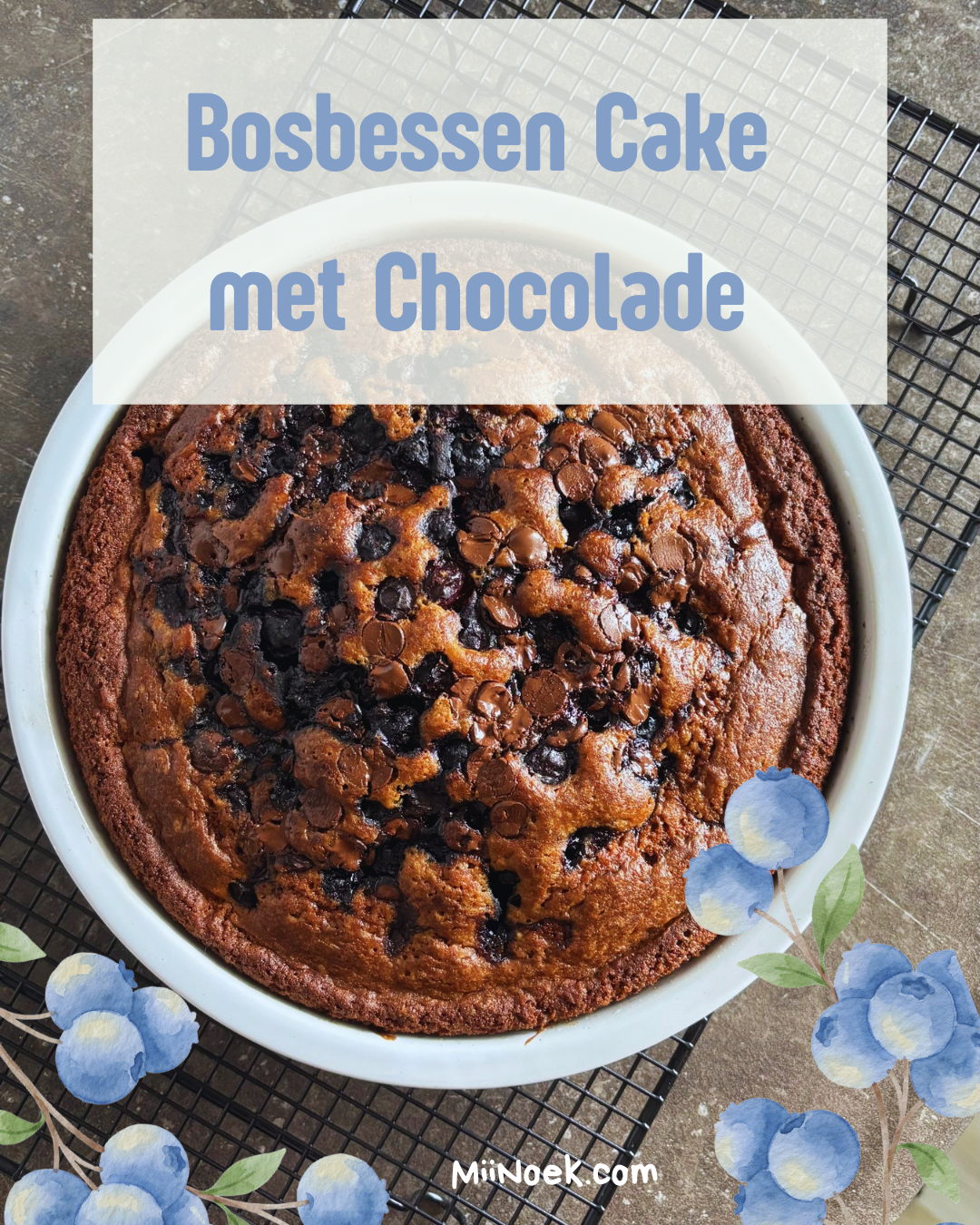 Bosbessen Cake Recept met Chocolade